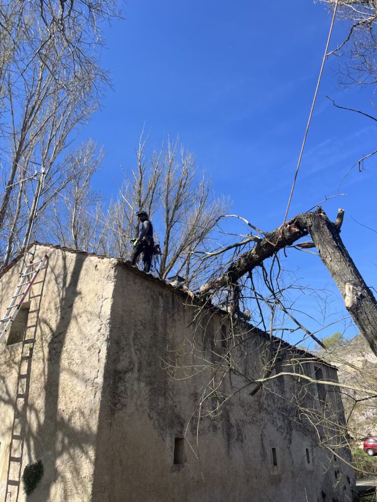 Una persona equipada con material de seguridad se encuentra de pie sobre un edificio de piedra con tejado plano en Madrid, realizando poda en altura mientras corta un gran árbol caído que yace sobre el tejado. Hay una escalera apoyada contra la pared y el cielo está despejado y azul.
